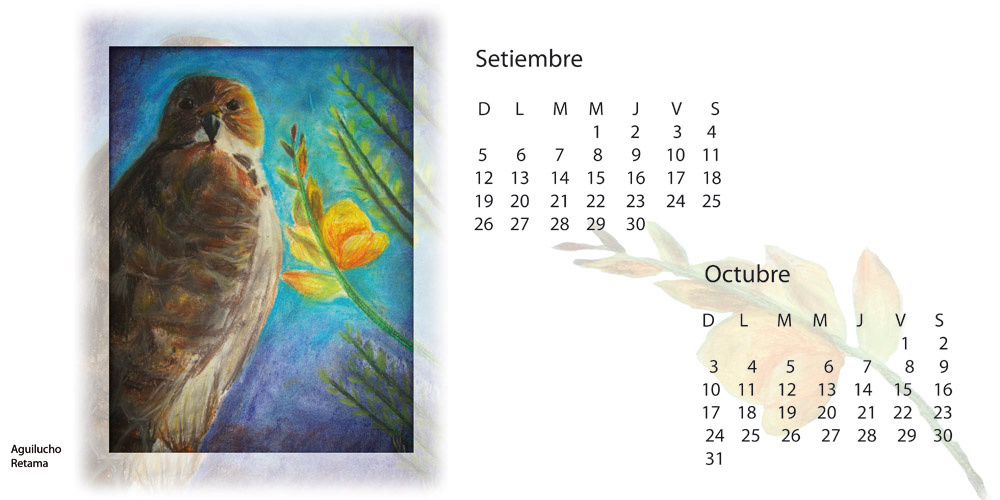 calendar graphic design  ILLUSTRATION  animals plants calendario ilustraciones diseño diseño gráfico pinturas