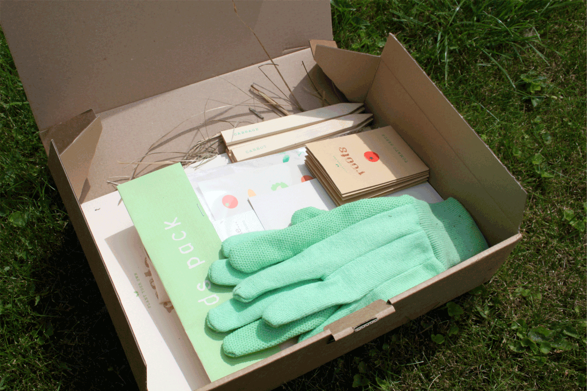 screen print envelopes allotment roots Plant your own Seed Packet seed packets Kids pack calendar poster Booklet Tote Bag stickers Kids stickers Tick list carrot Tomato cabbage cauliflower Onion radish