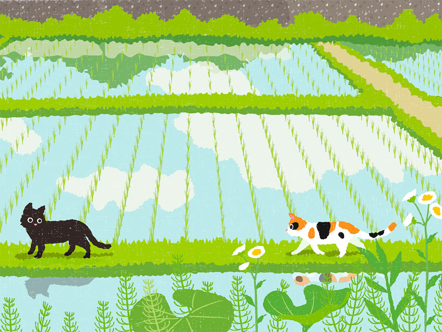 Cat Carendar May country japanese season