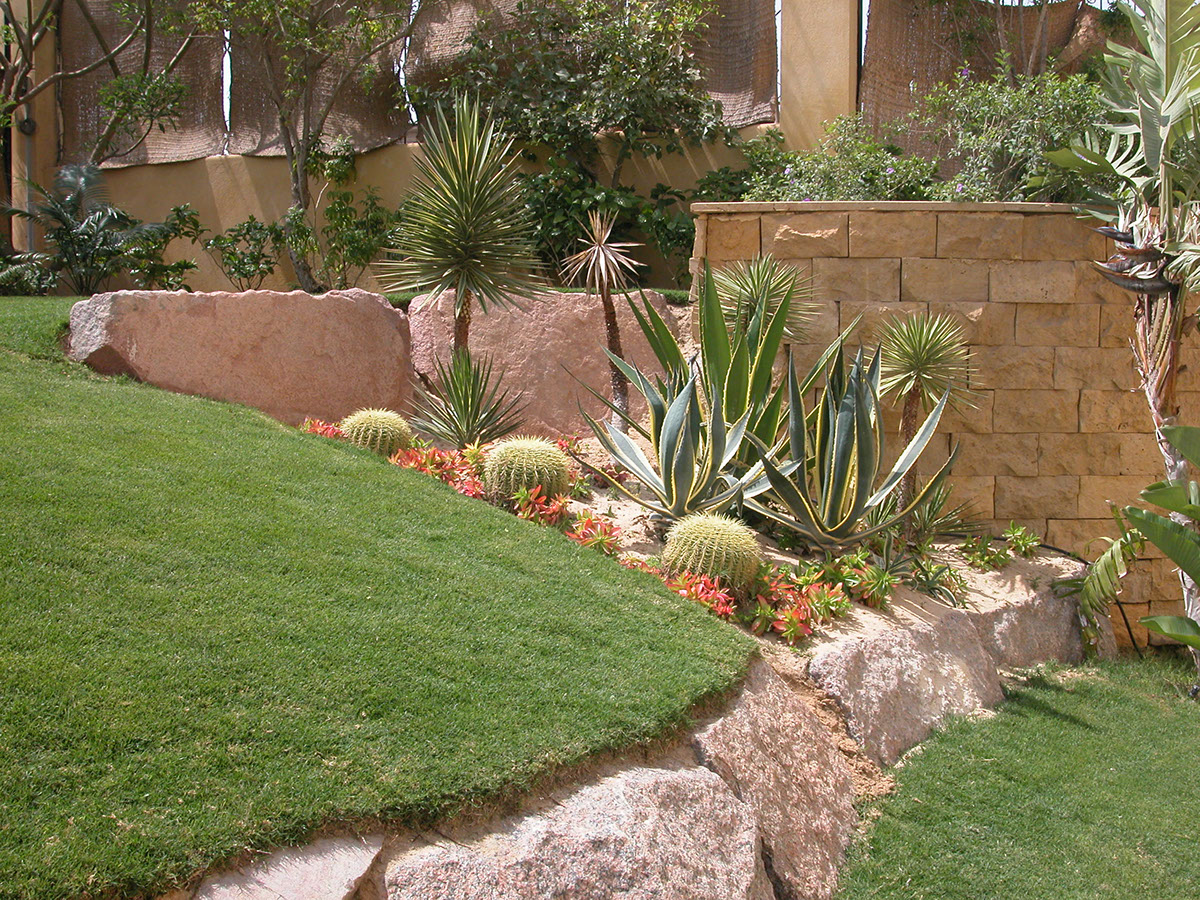landscaping planting green areas
