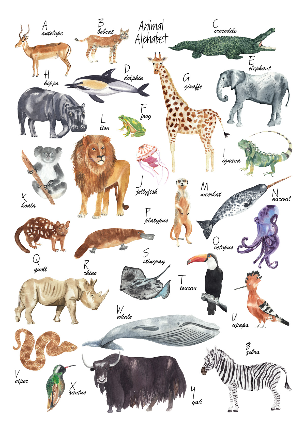 Watercolor animal alphabet on Behance