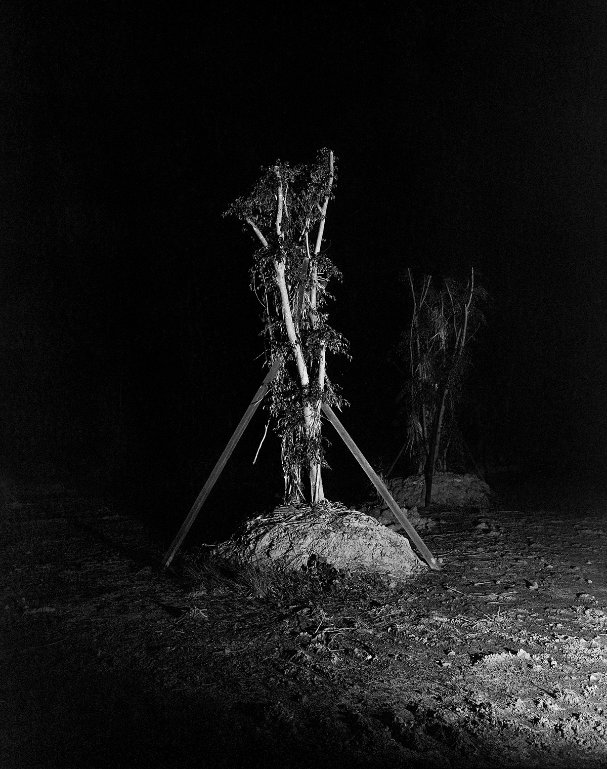Sustainability recycling Totem pre-conventional integral theory theory of everything crying for earth dry kiss mamiya 7 silver print medium format camera nikon coolscan 9000