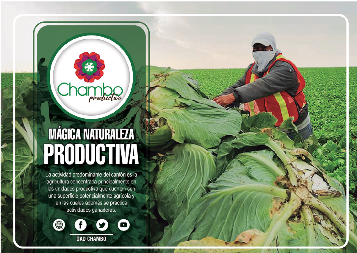 agricultura branding  Ganadería identidad legumbres Mandala manual marca Producción territorial