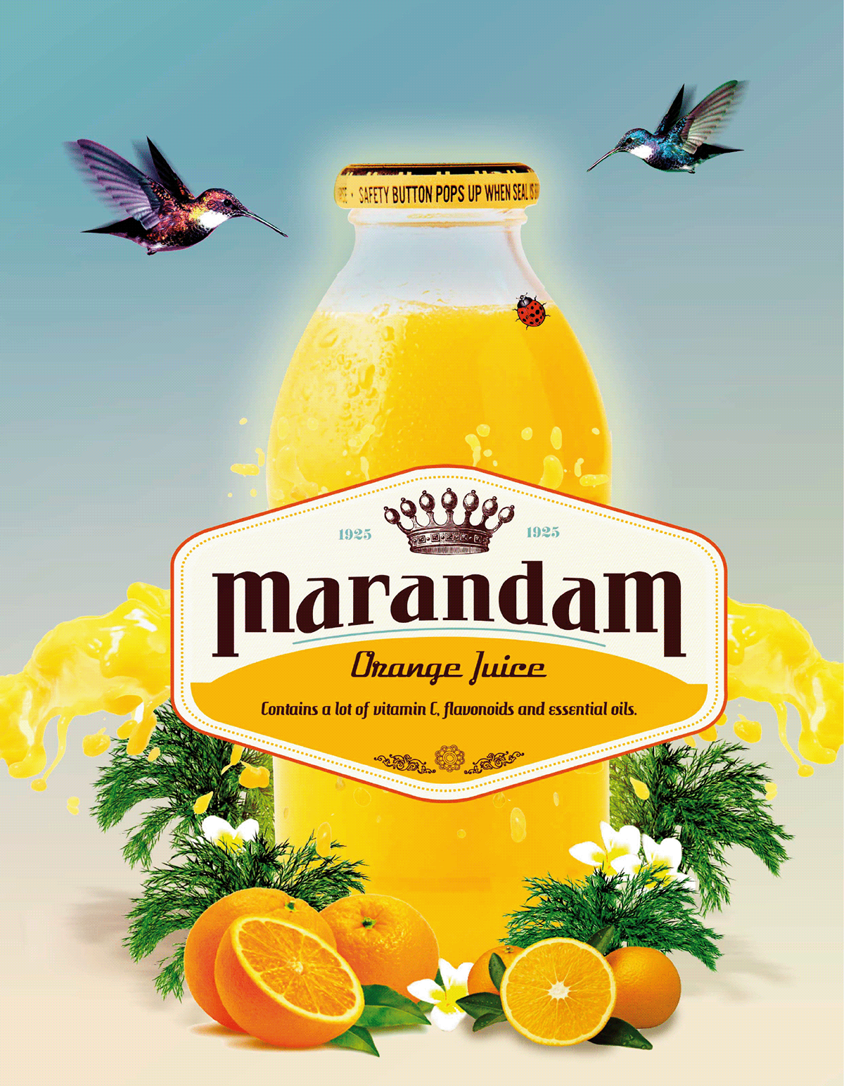 orange  juice branding   Packaging  graphic design