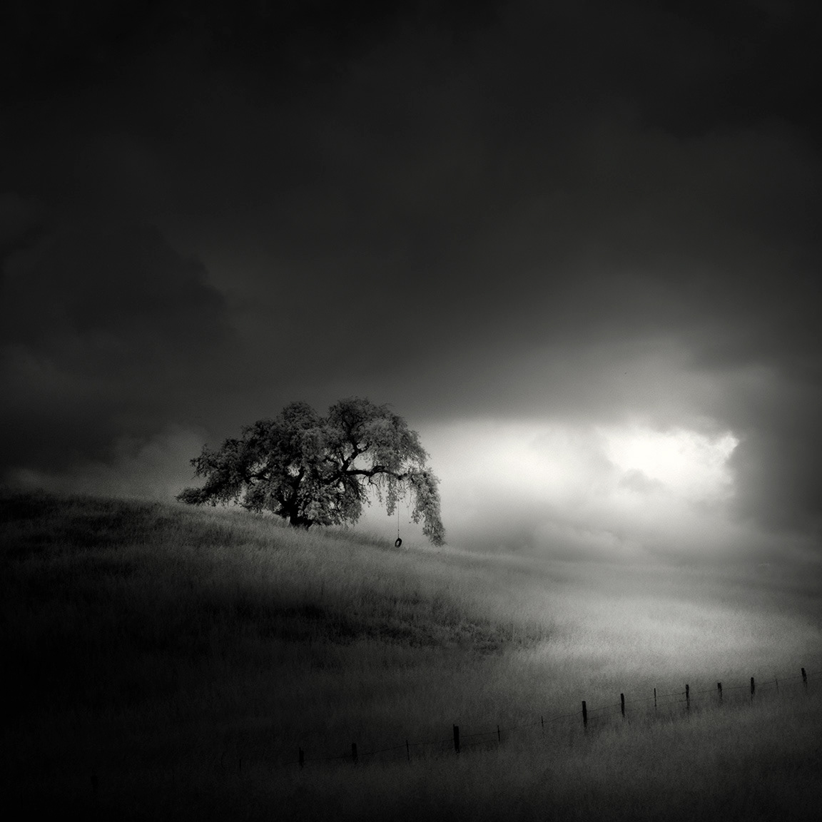 black and white infrared Landscape monochrome Nathan Wirth Nature nlwirth Photography  silence trees