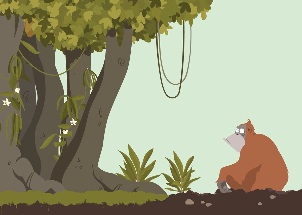 children's book animals jungle forest desert vector Character design  ILLUSTRATION  funny