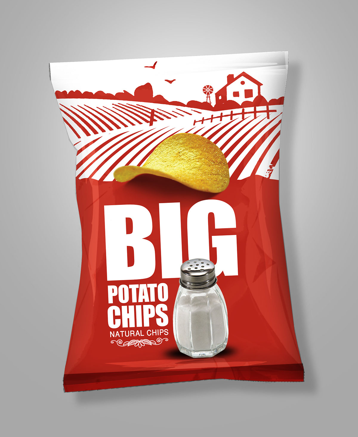 Big Chips Packaging potato chips logo cairo egypt