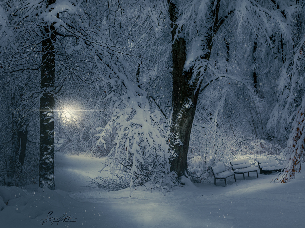 natur Naturfotografie schnee snow winterdream