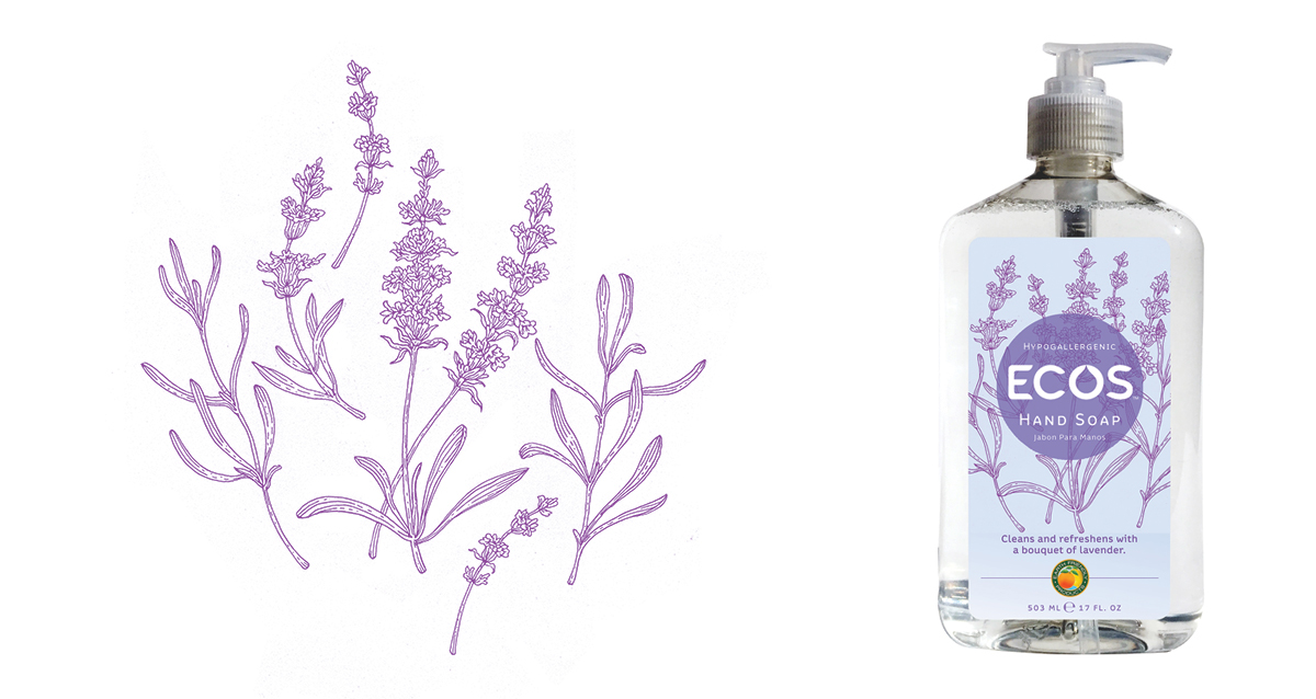 ecos Earth Friendly Products botanical illustrations botanical drawings eco friendly products product packaging design Rebrand line drawing magnolia ginger orange blossom lily lemongrass