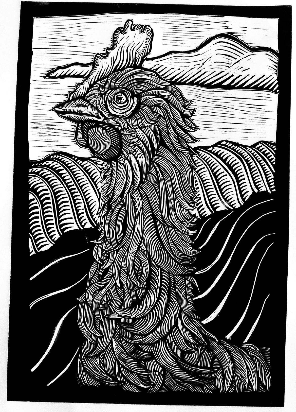 printmaking linocut relief print Rooster chicken