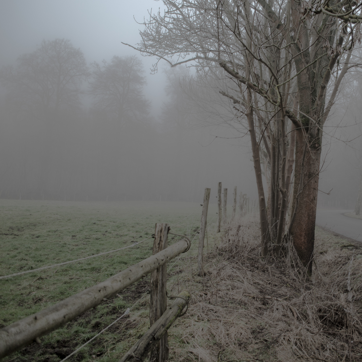 Feld field countryside grass green Nature Landscape foggy fog nebel minima Minimalism mist emptiness empty