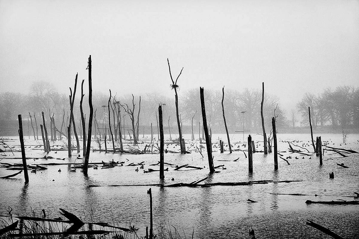 Almond Marsh, Wildwood, Illinois landscape photography