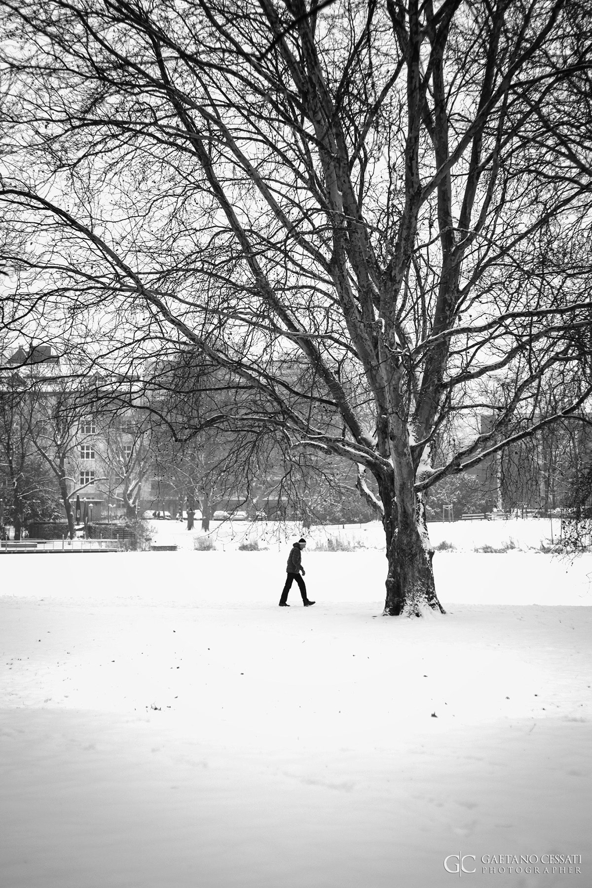 trees winter berlin Emotional evocative street photography Canon people snow Sadness germany Deutschland