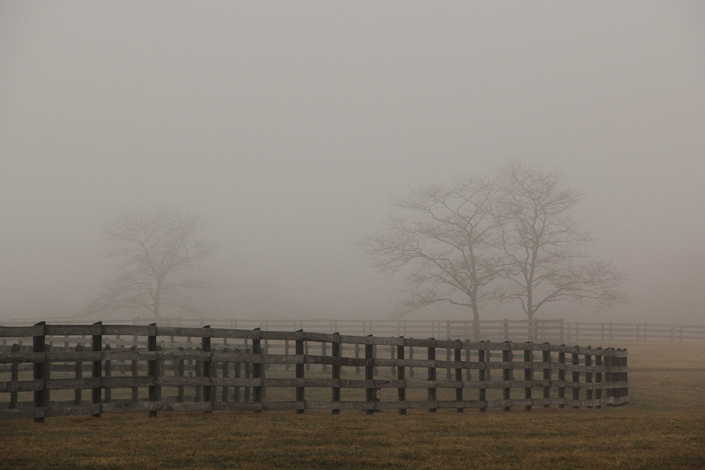 Adobe Portfolio fog  haze  morning night mood Landscape farmland vignoli glare White country empty