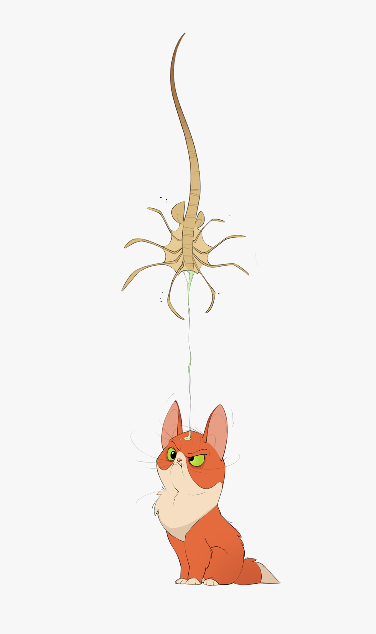 Character Character design  sketch cartoon animation  Cat art pets ILLUSTRATION 