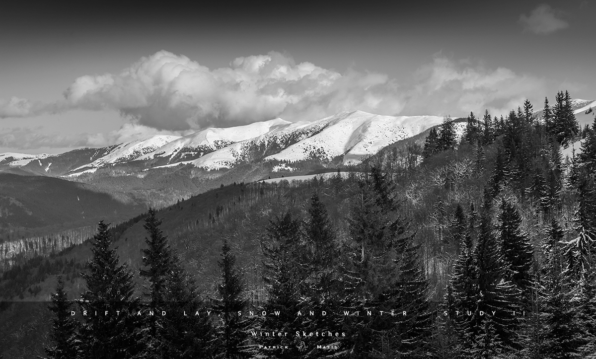 drift winter snow Landscape landscape photography Nature iarna peisaje romania monochrome monochrome photography black and white black & white