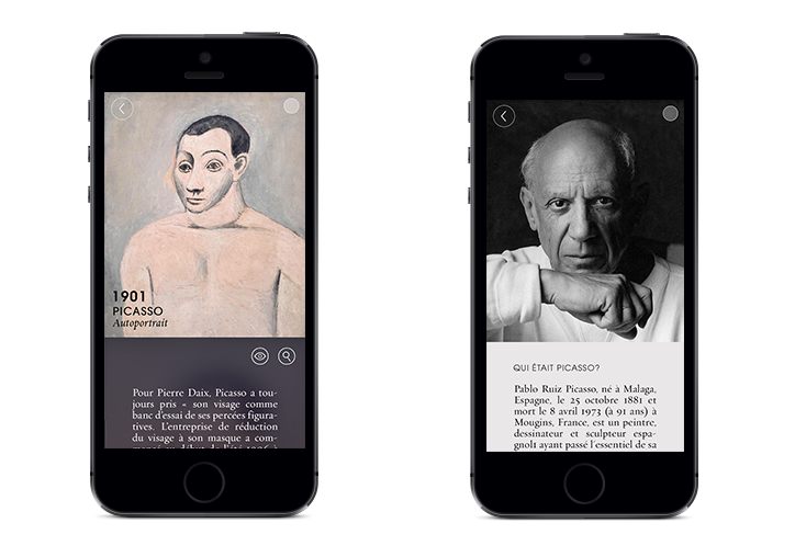 Picasso application ux UI iphone
