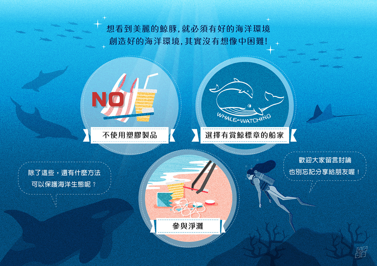 infographic ILLUSTRATION  Whale tours friendly dolphin environment taiwan Ocean sea