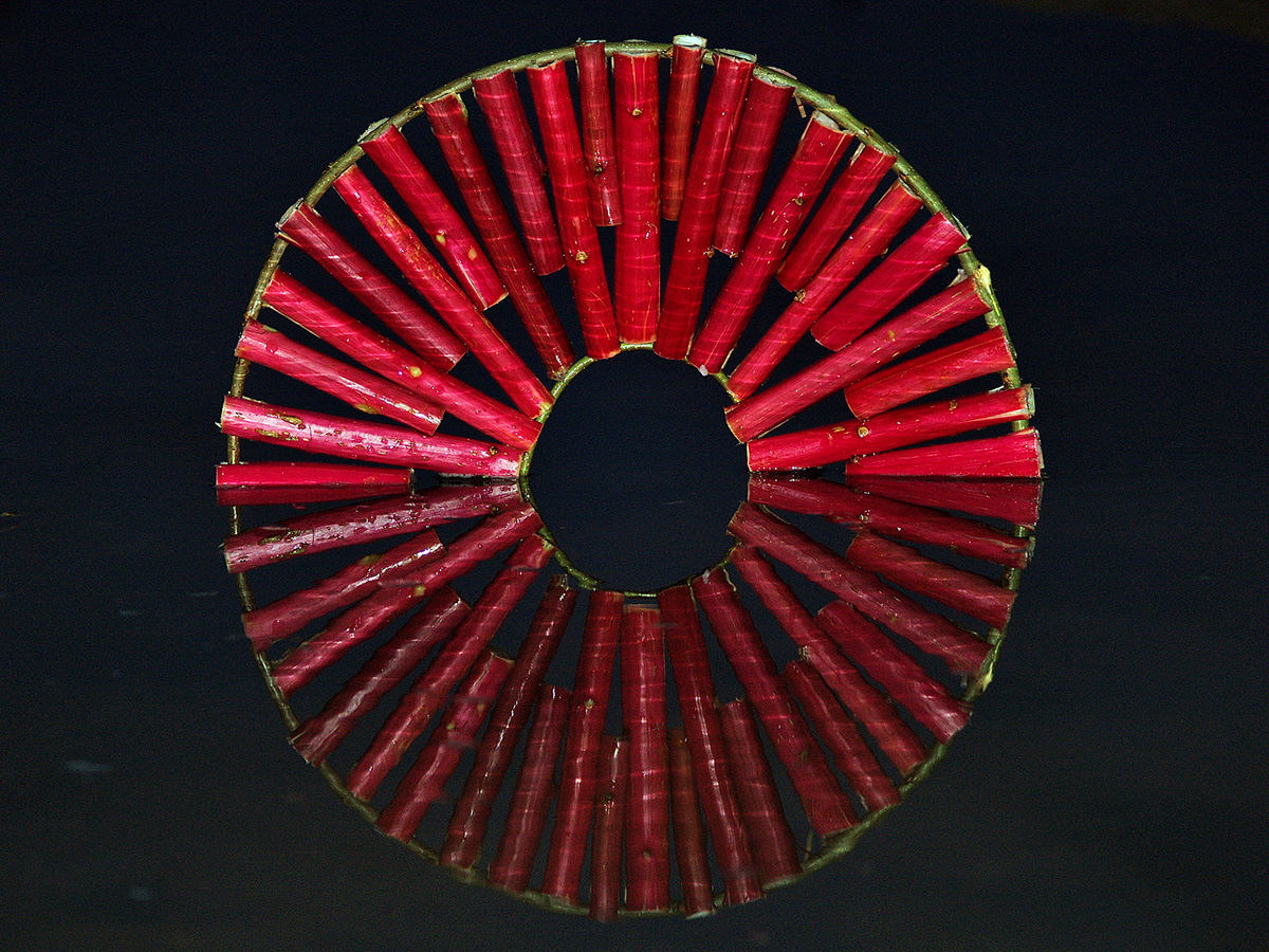 eye OEIL iris mirror miroir reflet cercle circle wood water eau bois red rouge landart