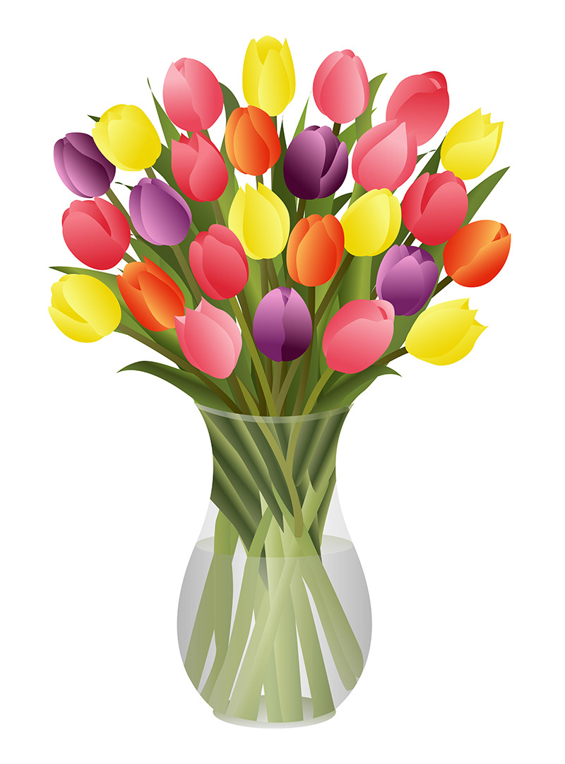 Anemone flowers Bouquets daffodils Flowers Stargazer lilies stock illustrations Sunflowers tulips Vector Illustration