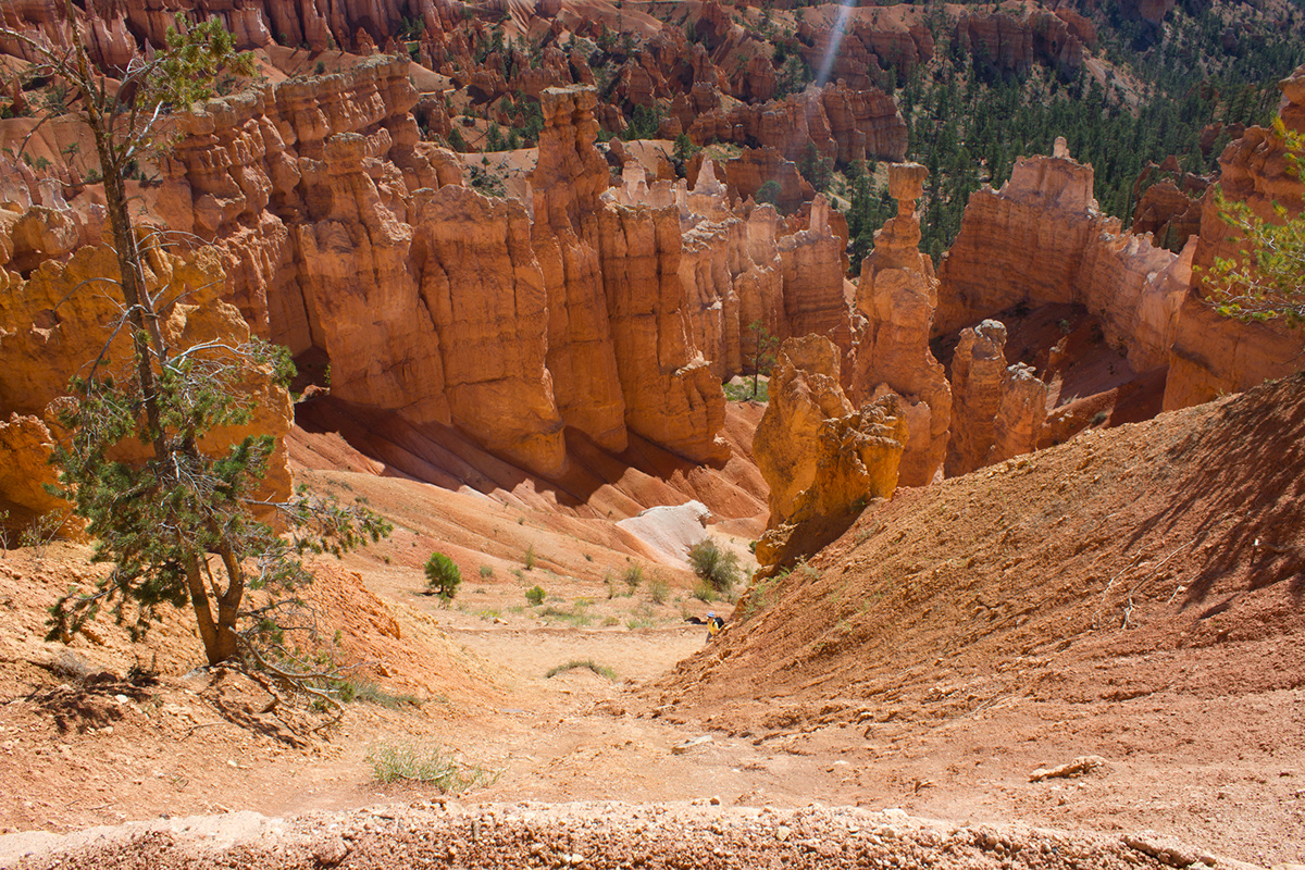 wild west photo diary Los Angeles Grand Canyon bryce canyon Las Vegas Death Valley sequoia san francisco
