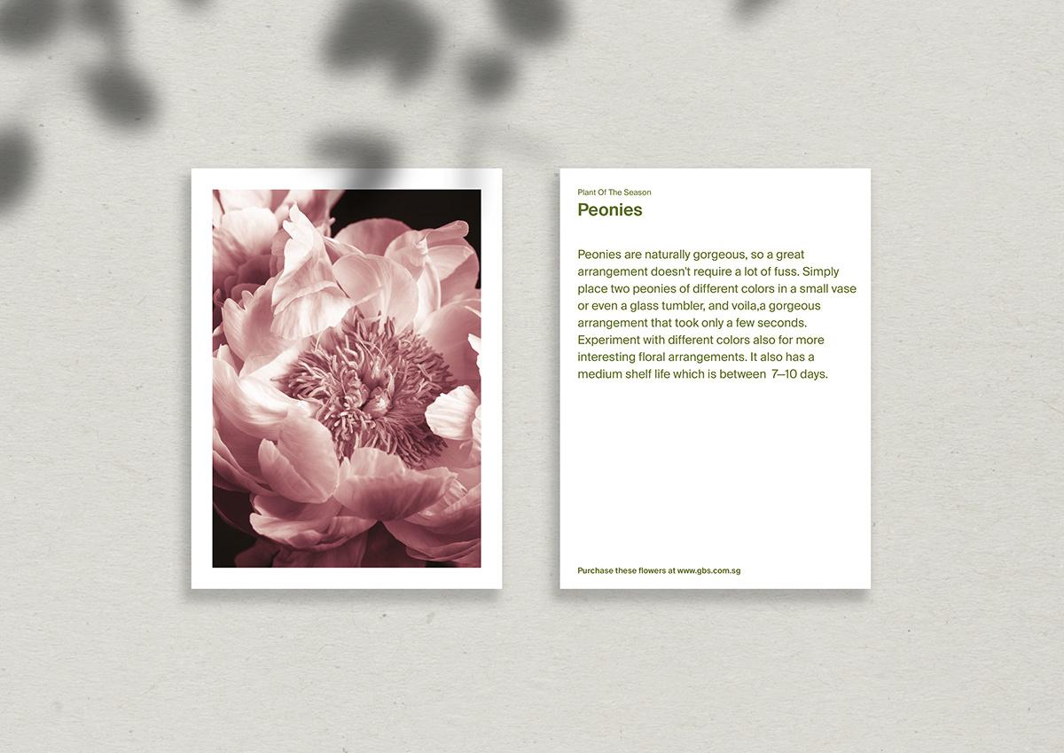 botanic branding  design flower garden studio typography  