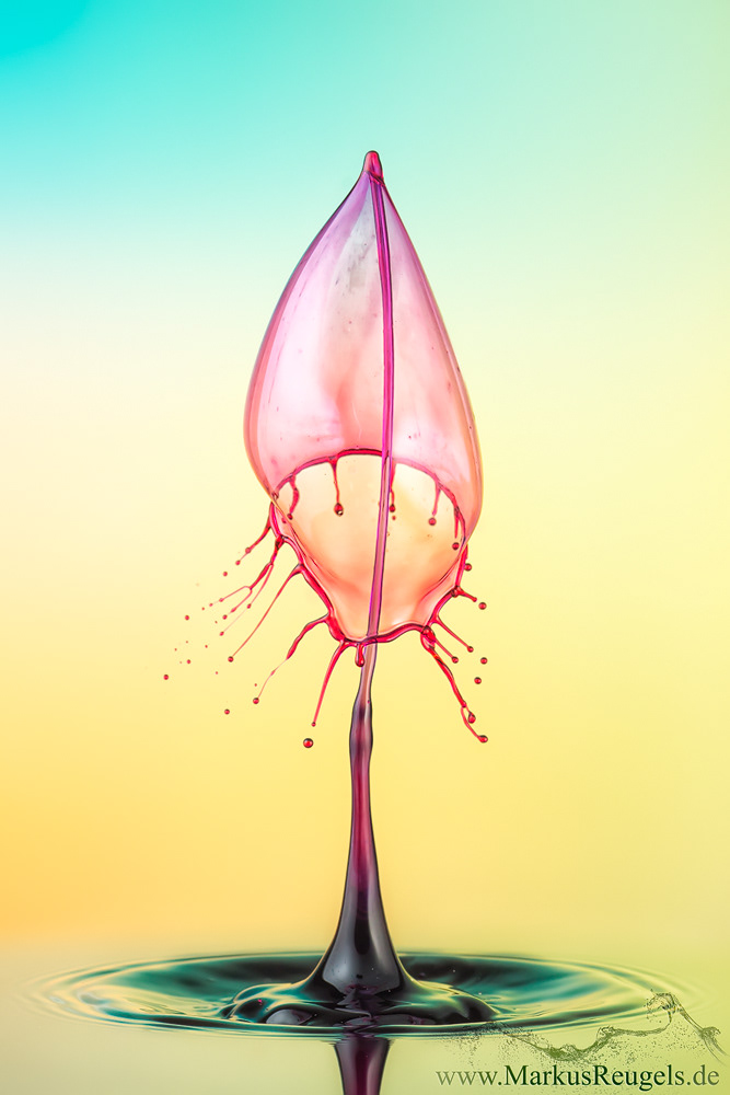 liquidart Liquid art Highspeed splash drop on drop tat glimpsecatcher stopshot studio colors waterdrop droplet