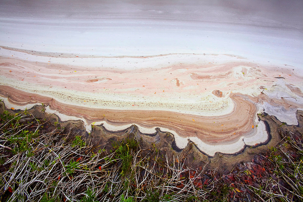 Nature landscapes abstract design water rocks mountains beach snow tides Everglades Alaska