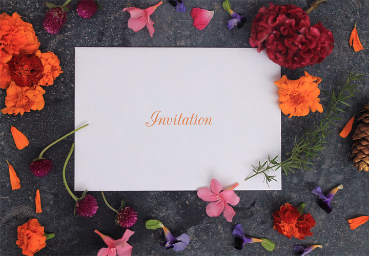 wedding invites illustrated wedding creative wedding wedding suite wedding cards Wedding Invites illustrated wedding cards