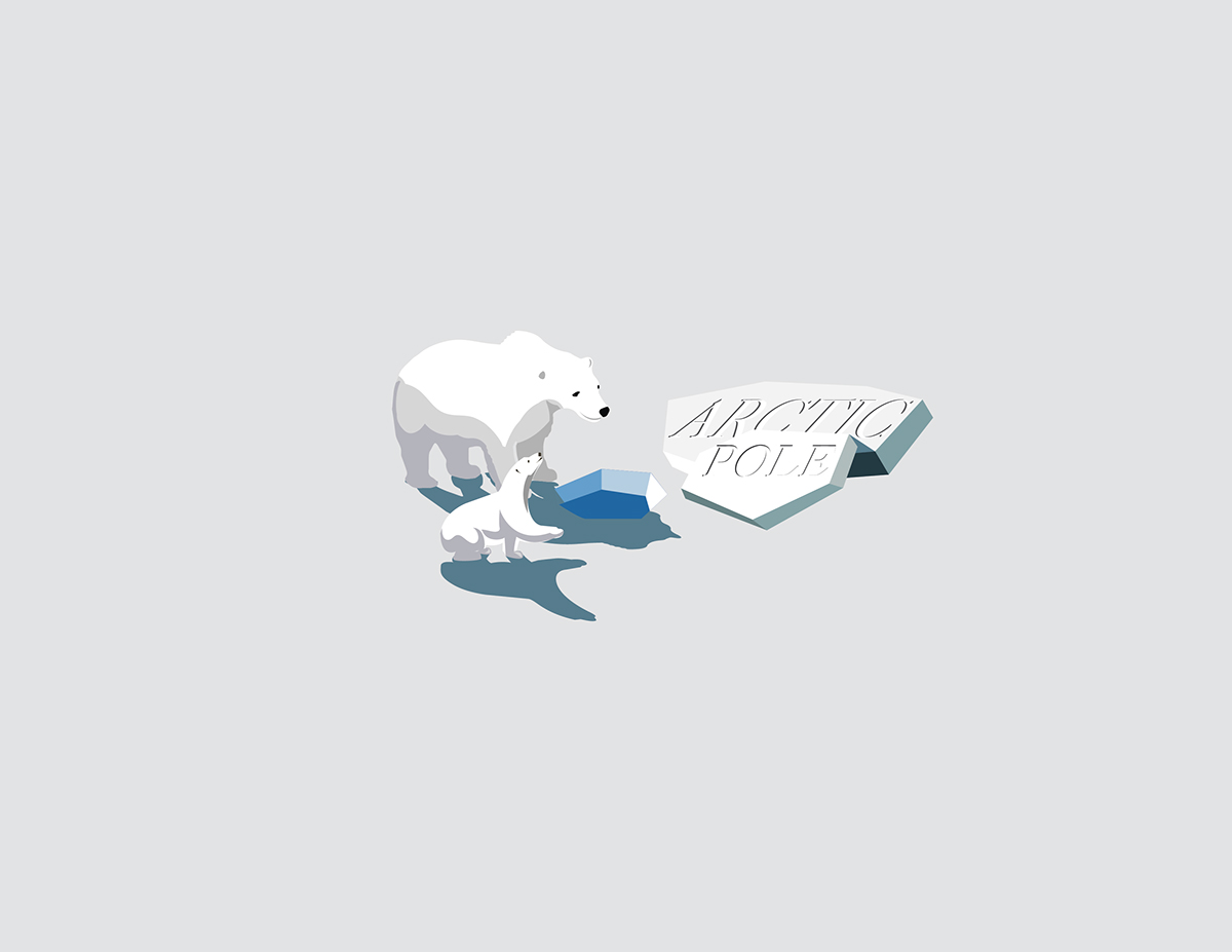 Adobe Portfolio icons flat cube bear New York 3D scene Arctic subway empire state builing story Icebreaker seal