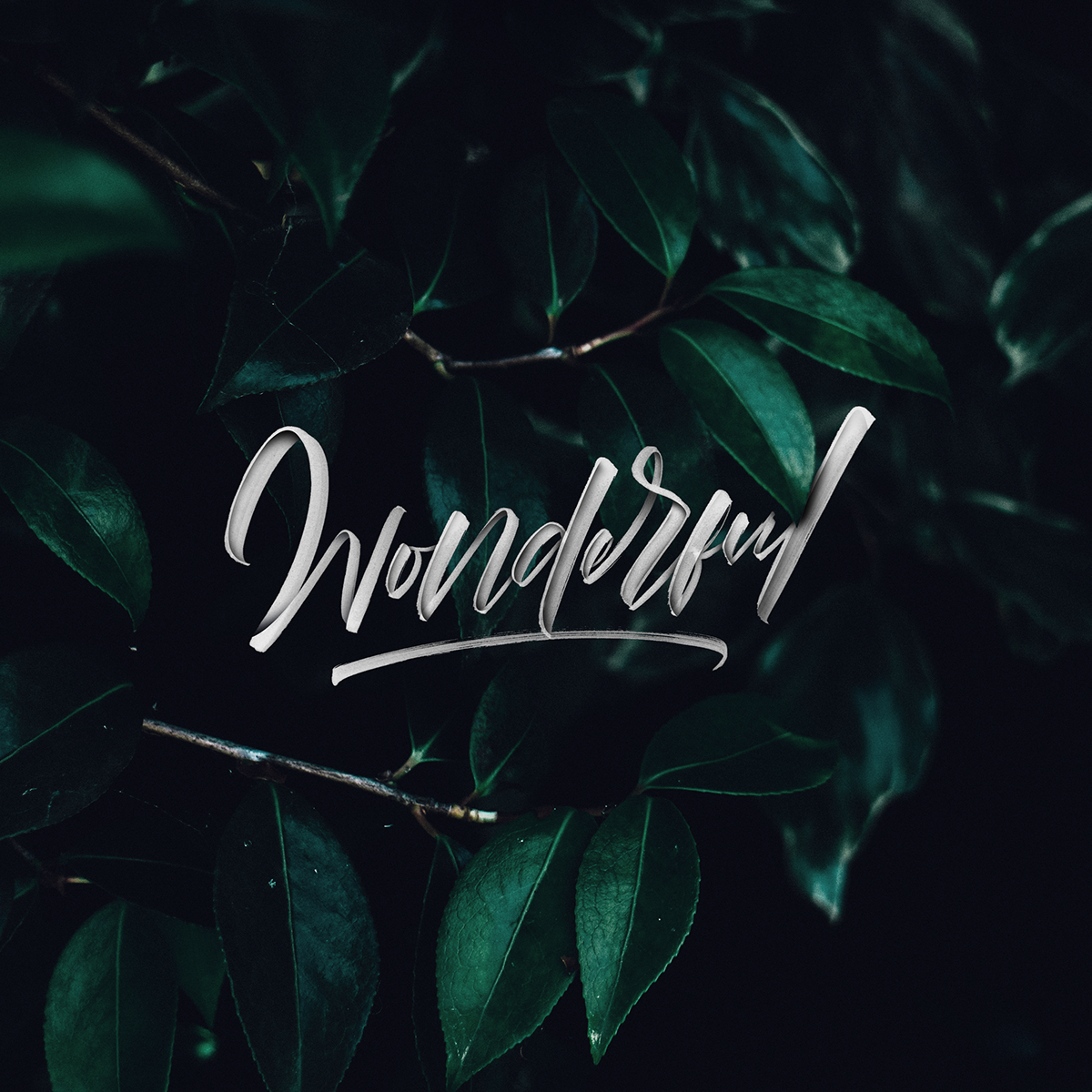 lettering hand-lettering instagram lettering lettering collection custom typography Custom Lettering Floral Lettering logo type HAND LETTERING lettering photography