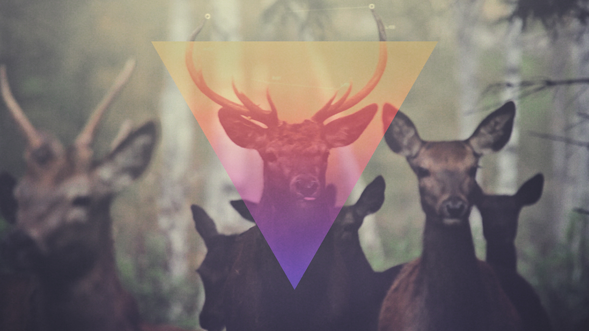 Matta release the freq Ad Noiseam deer buck doe norway dubstep music video kim holm Nature animals wildlife GUI
