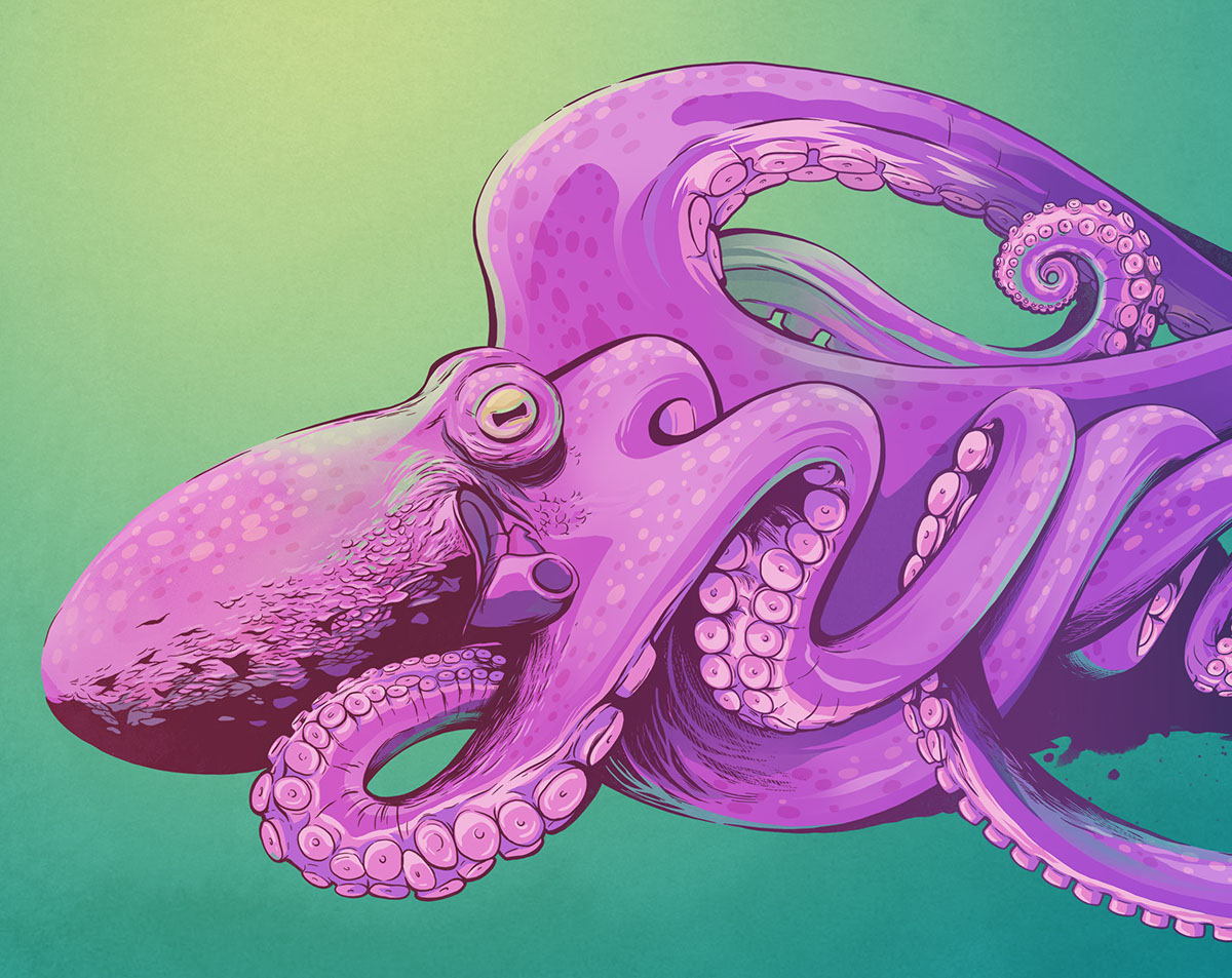 octopus sea