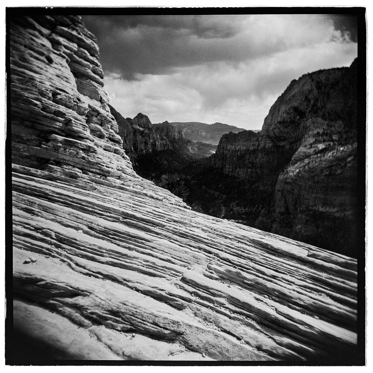 black and white Landscape america desert mountain holga medium format square