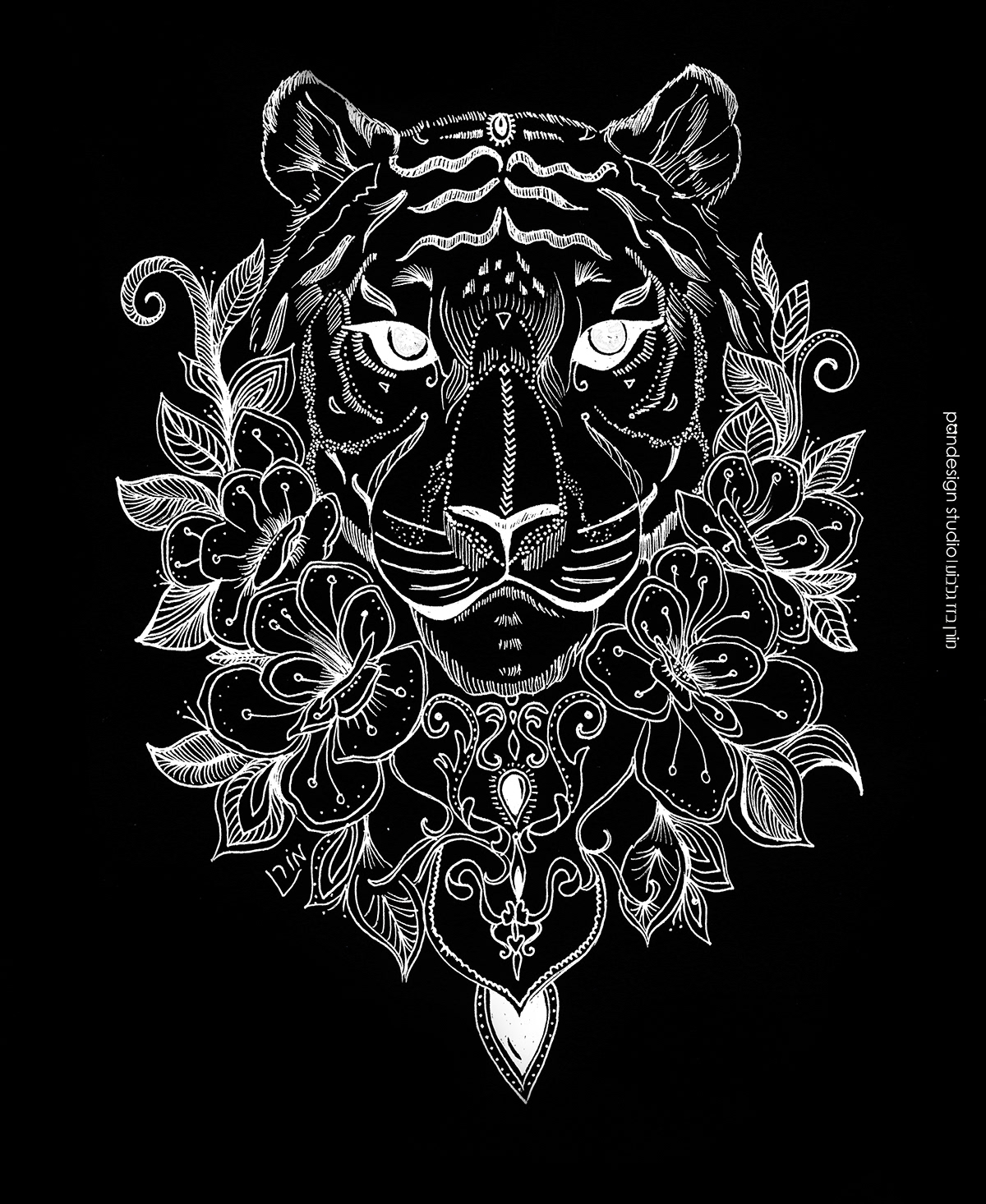 animal art bnw Drawing  ILLUSTRATION  ink Moran Bazaz pandesign studio tatt tiger