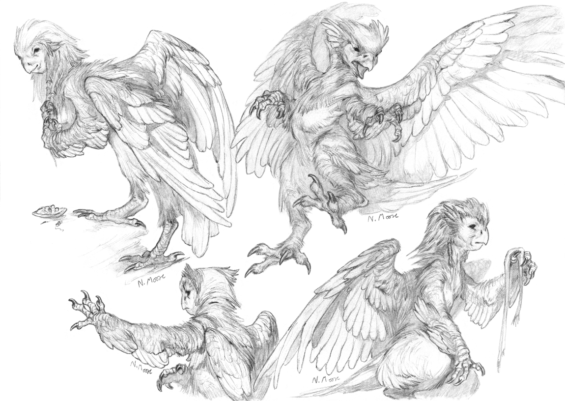 bird Creature Design fantasy harpy