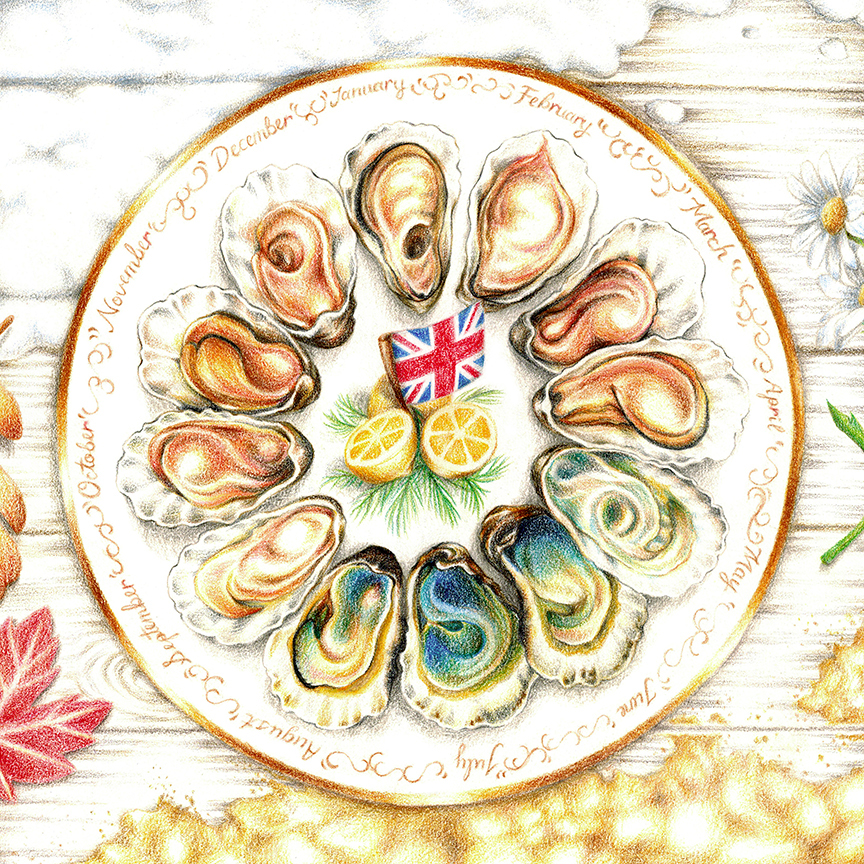 colouredpencils pencilcrayons oysters seasons plate british Folklore Food  adobeawards months