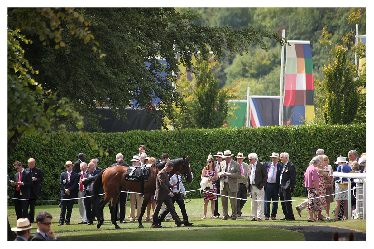 Horse racing thoroughbreds British sport betting and gaming