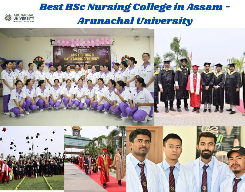 best bsc nursing college