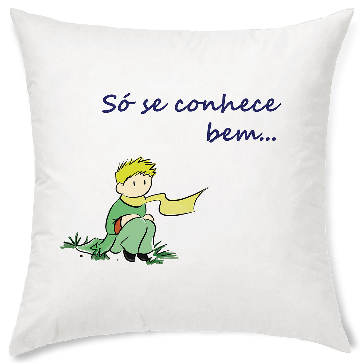 almofada Ilustração interiores sofa pillow animal little prince Character personagem