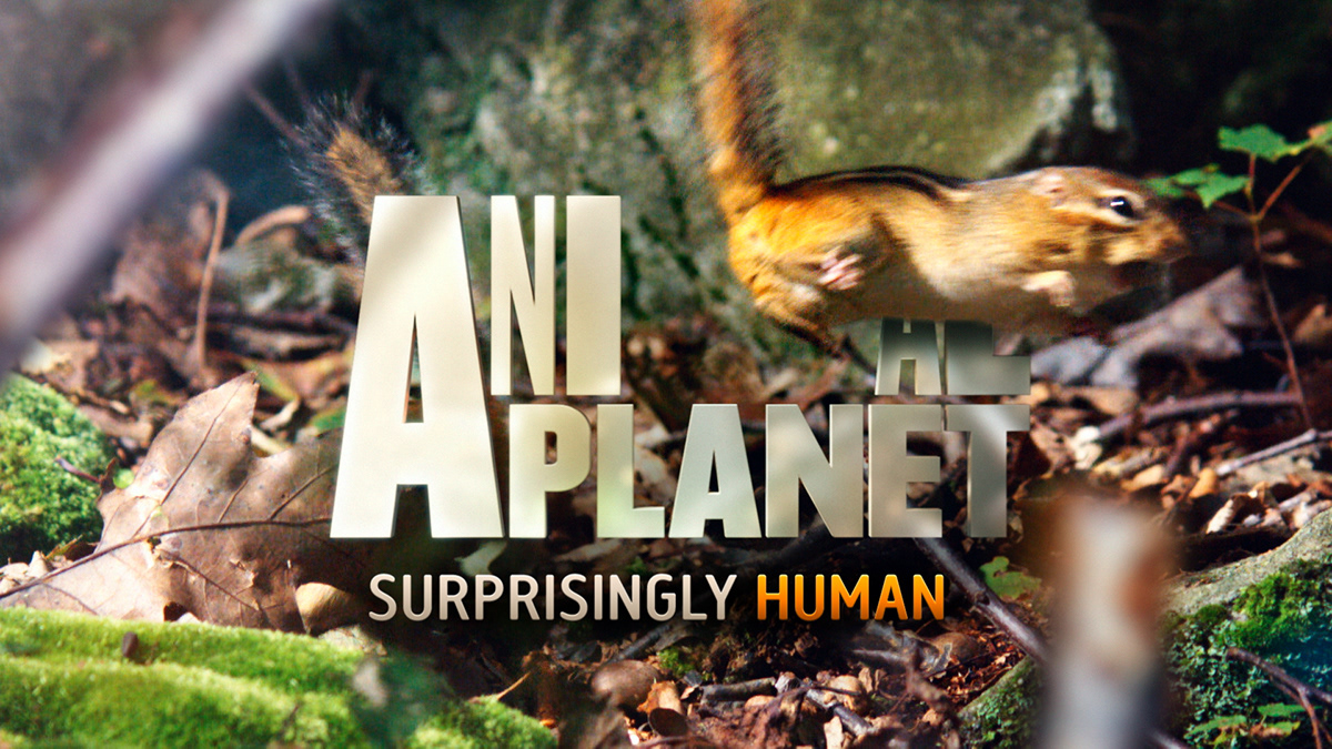 Animal Planet Rebrand