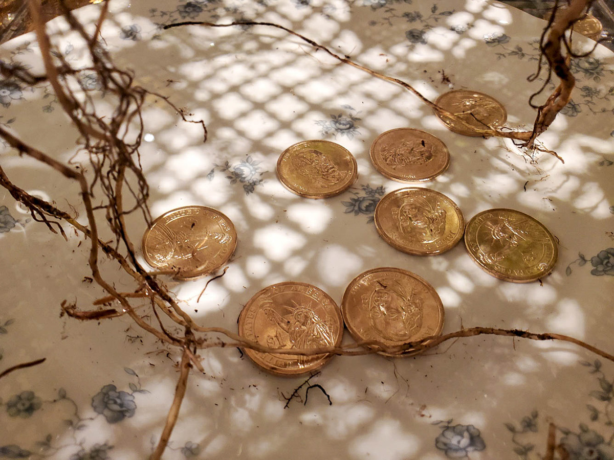 Found objects Assemblage plants coins decay readymade