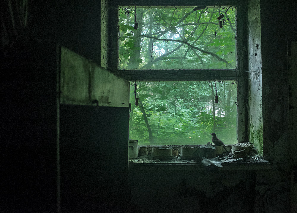 chernobyl pripyat ukraine nuclear