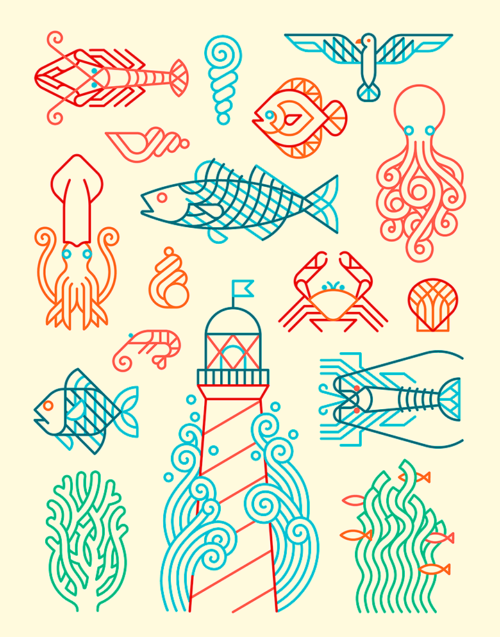 ILLUSTRATION  design sea Stand lineart vector fish Galicia mar draw