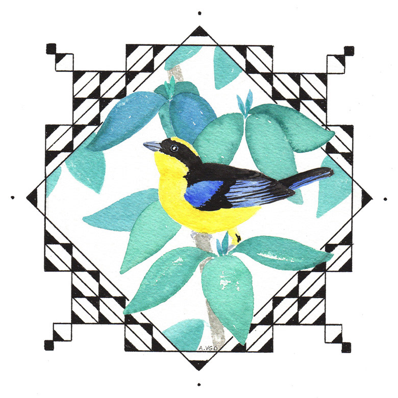 bird frame season four seasons siason oiseau geometry