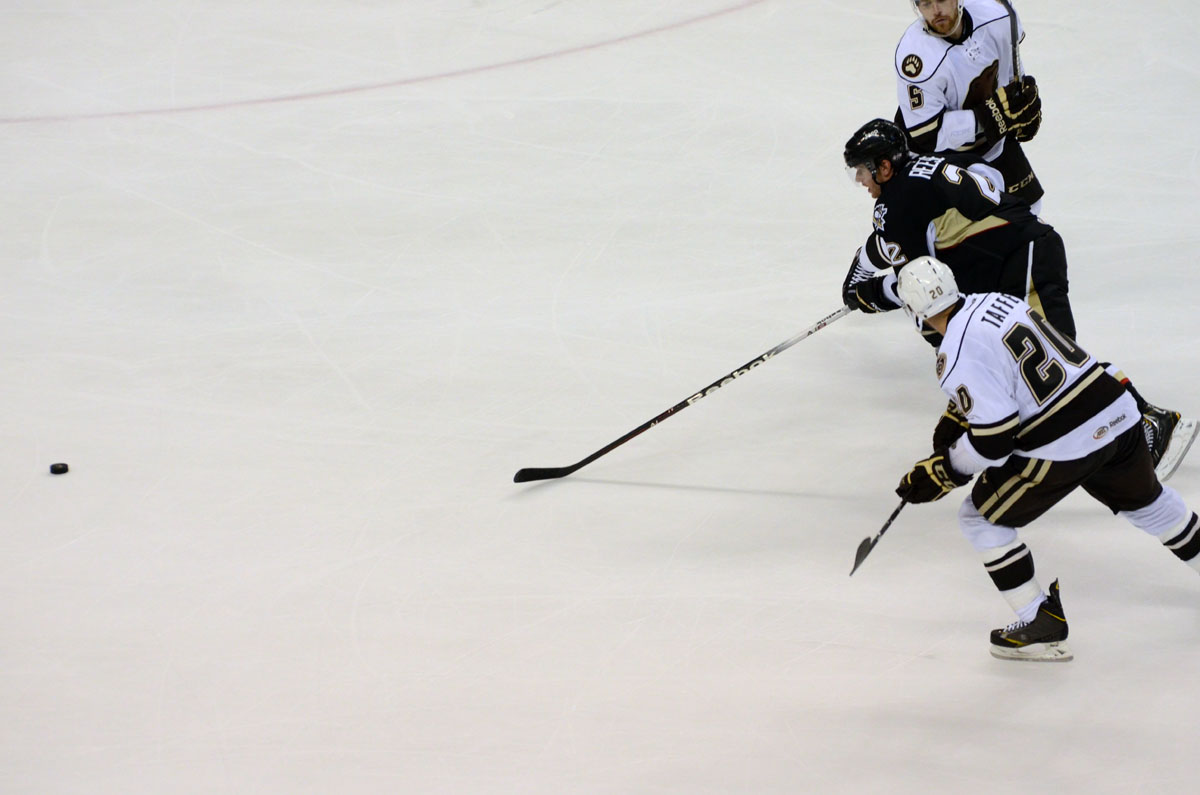 hershey bears washington capitals Wilkes-Barre/Scranton Penguins wbs penguins AHL hockey sports photography