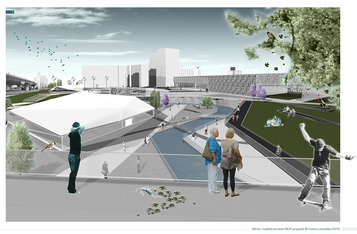 Biomimetics Masterplan Urban Regeneration thesis