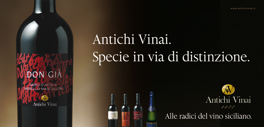 wine  brochure  website  schede organolettiche  vino