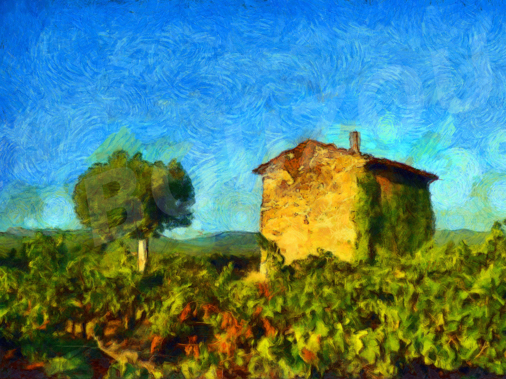 House in the Vineyards