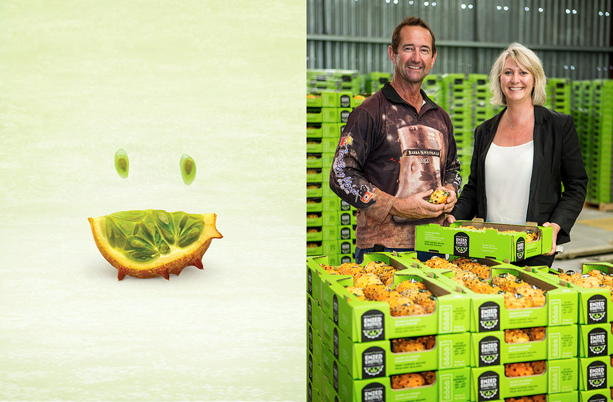 enzed exotics Fruit horned melon branding  identity Packaging New Zealand quirky